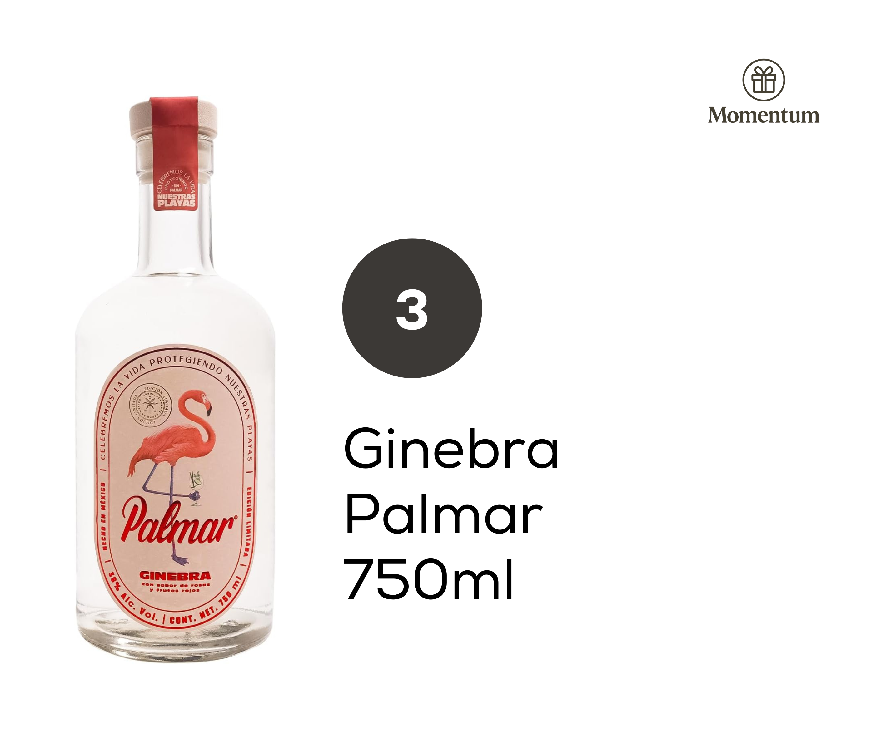 Experiencia Gin 2 Win – Lite (Caja chica)